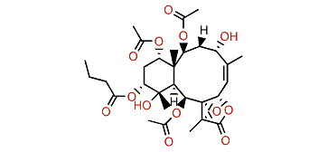 Briacavatolide C